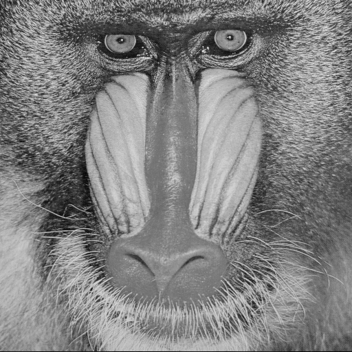 baboon.png, 230 Kb